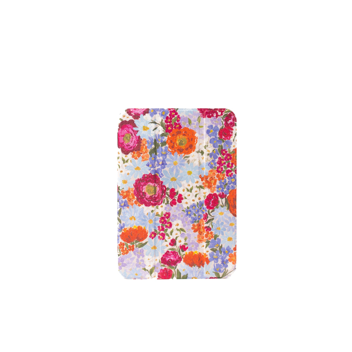 Clear Back iPad Case