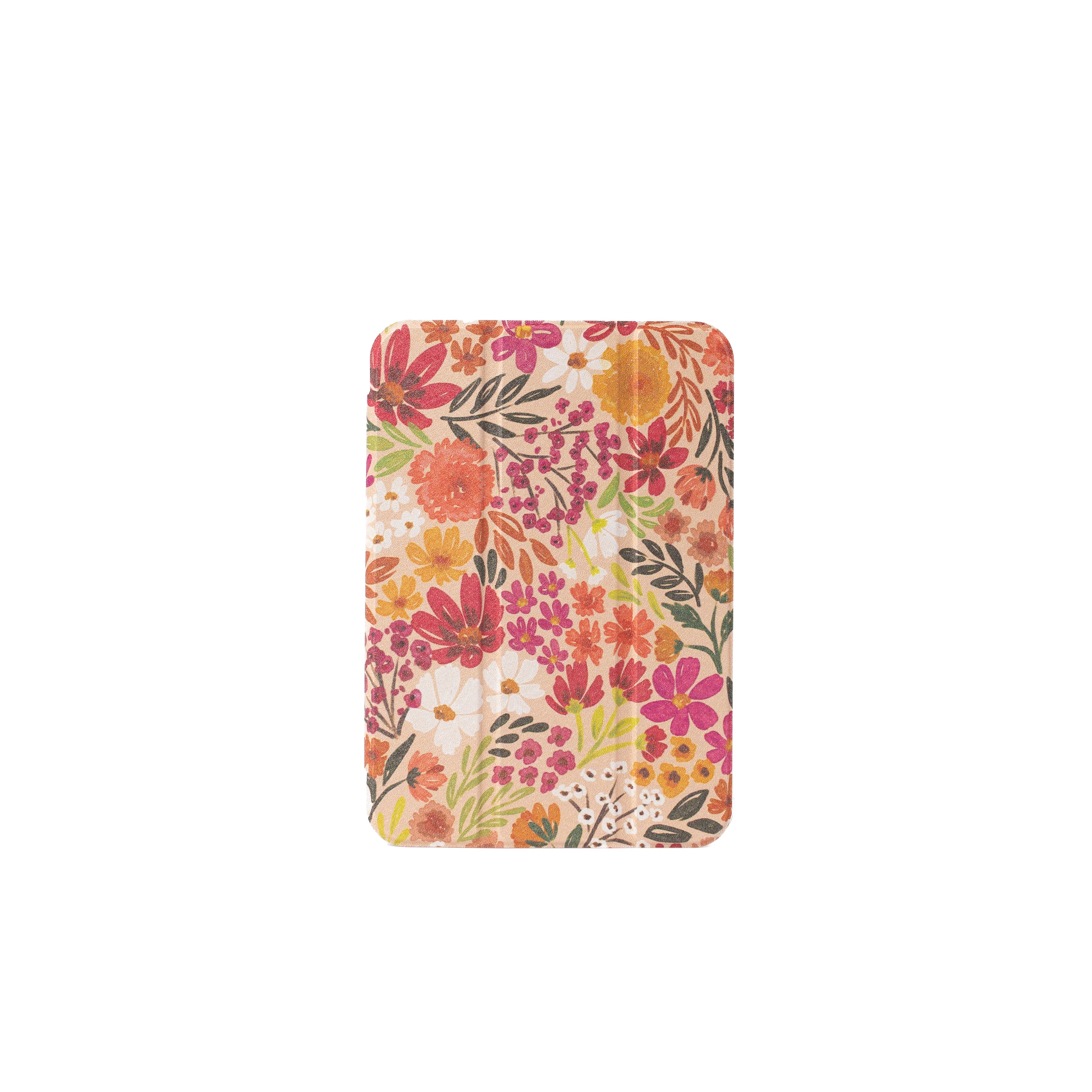 Clear Back iPad Case