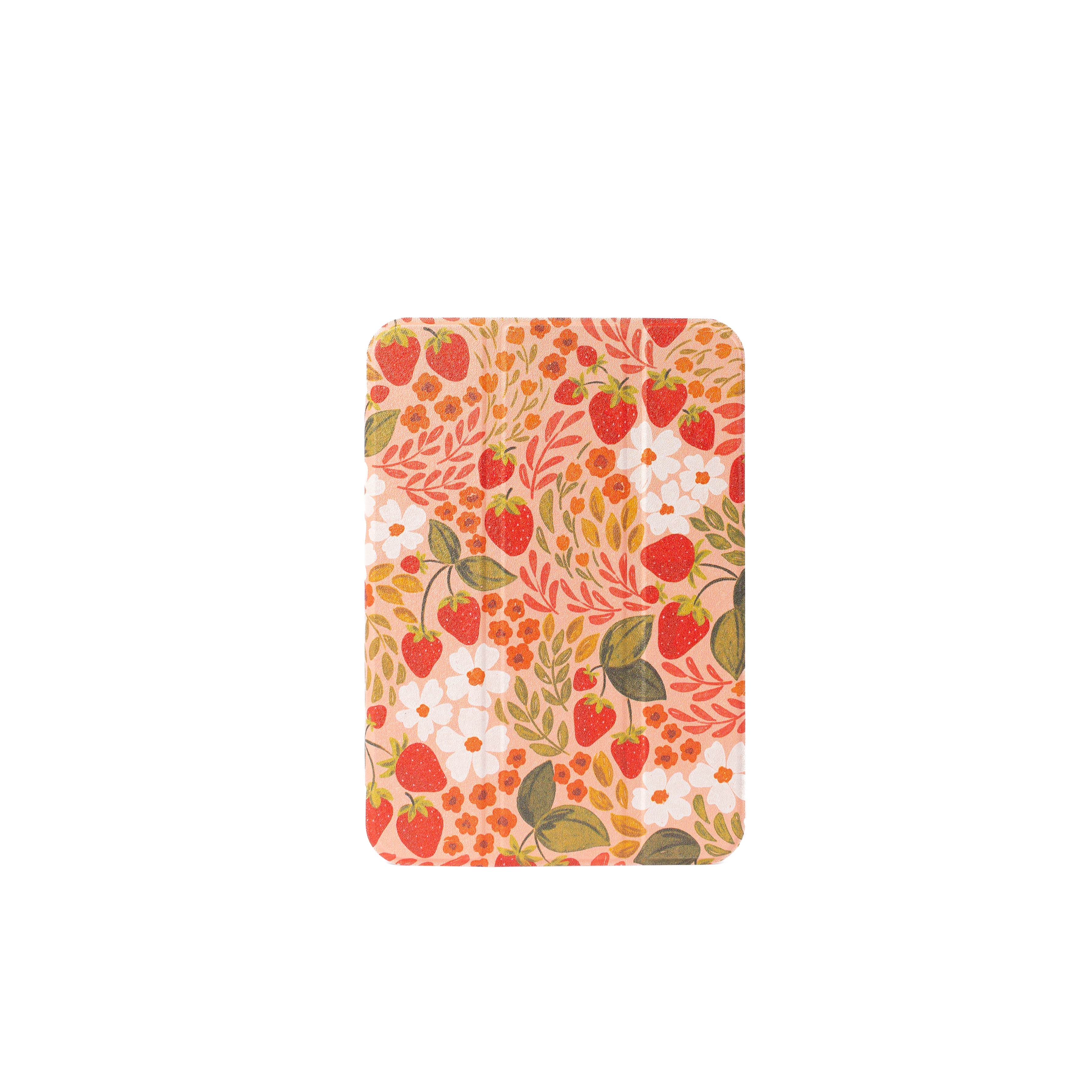 Clear Back iPad Case