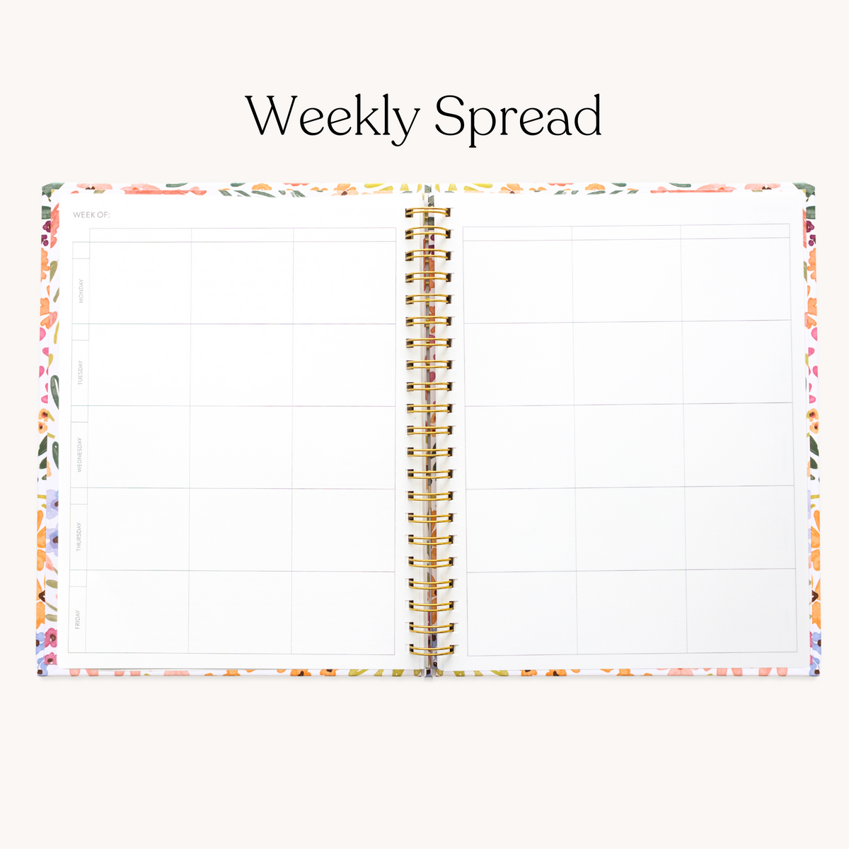 Teacher Planner - Undated