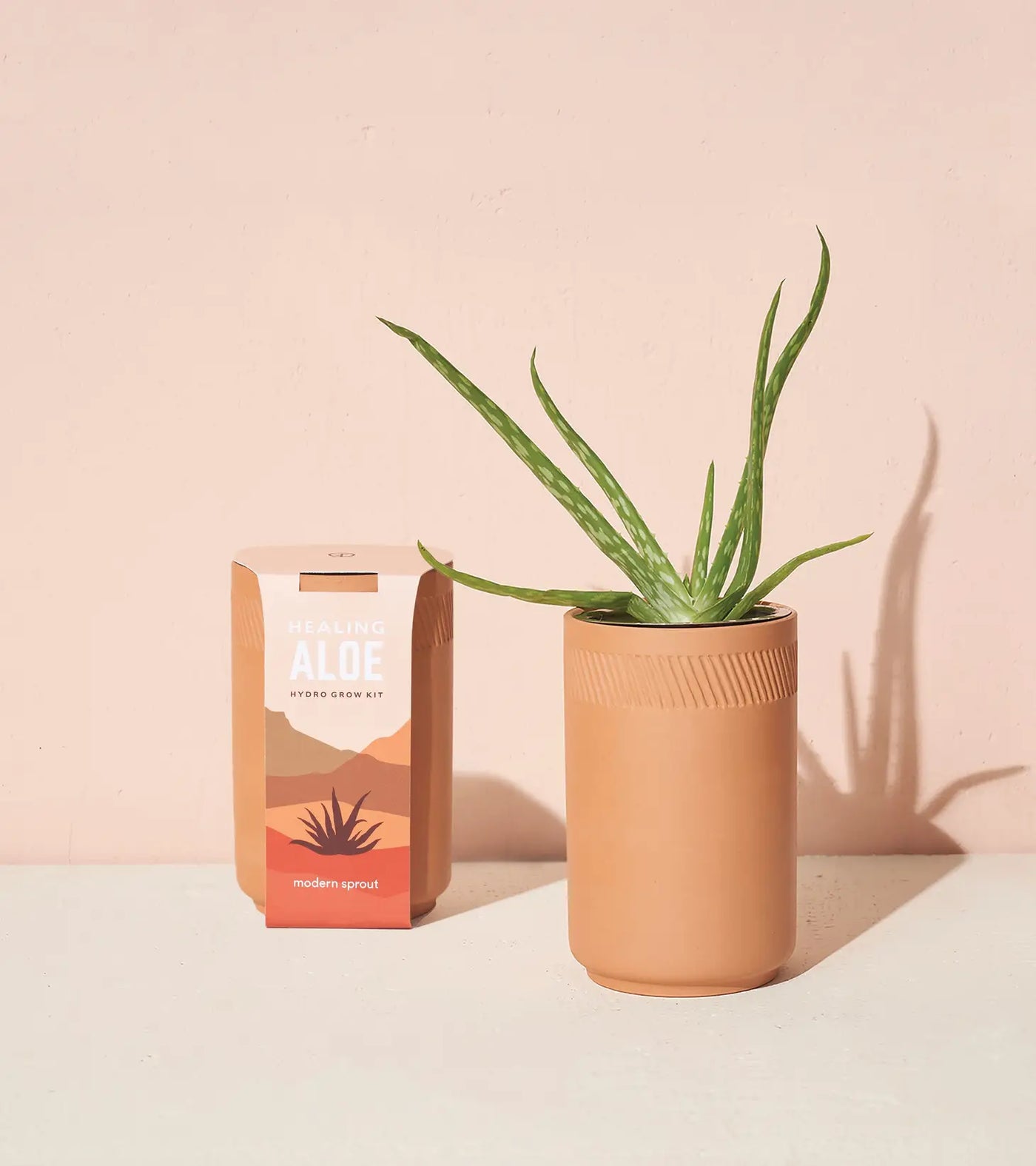 Aloe Terracotta Kit